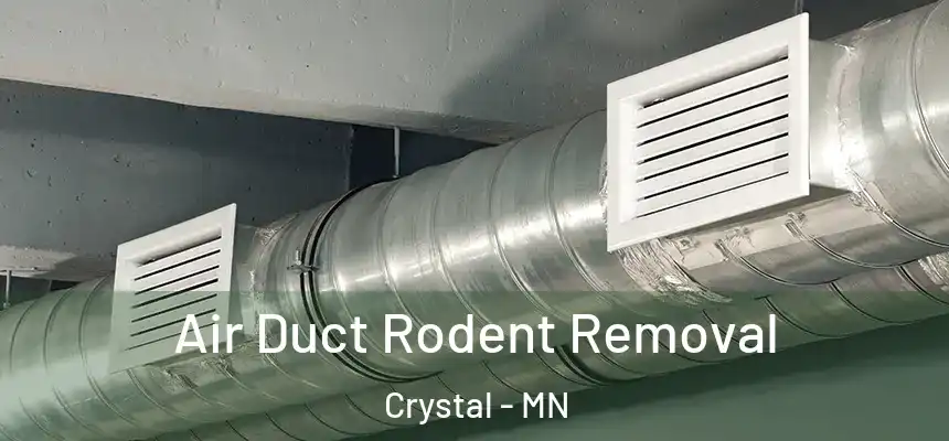  Air Duct Rodent Removal Crystal - MN