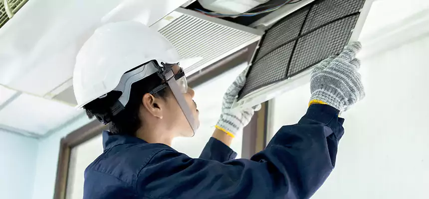 Our Mold & Mildew Removal from Air Ducts Services in Crystal, MN