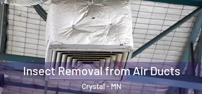  Insect Removal from Air Ducts Crystal - MN