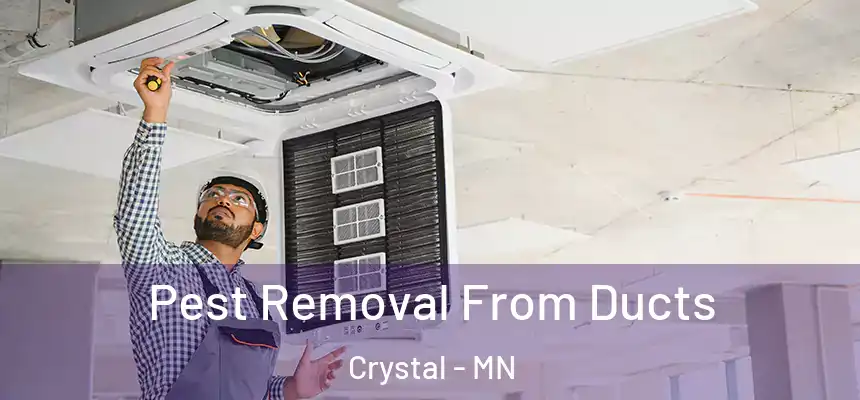 Pest Removal From Ducts Crystal - MN