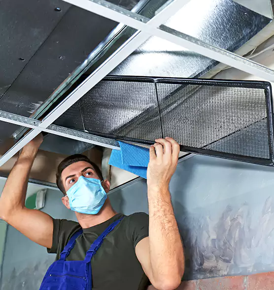 Professional Air Duct Pollen Cleaning in Crystal, MN