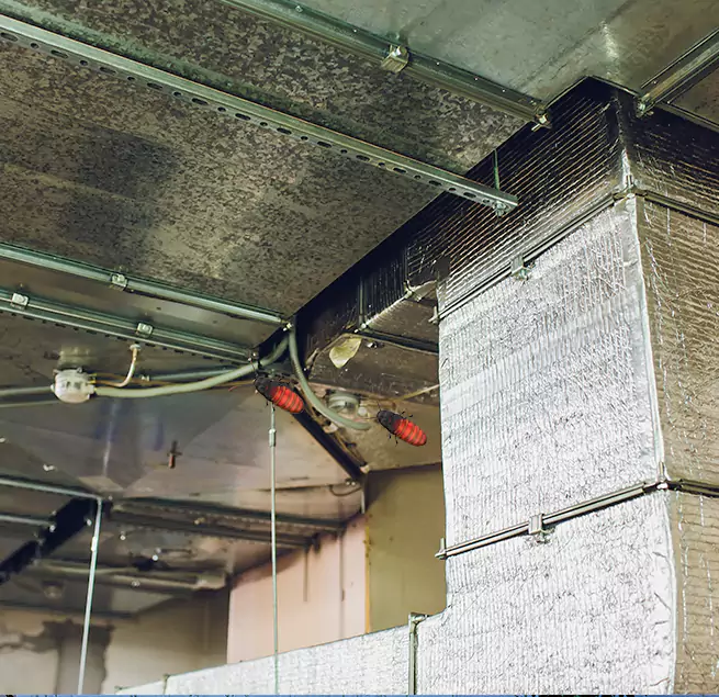 Why Homeowners & Businesses Trust Us in Crystal, MN?